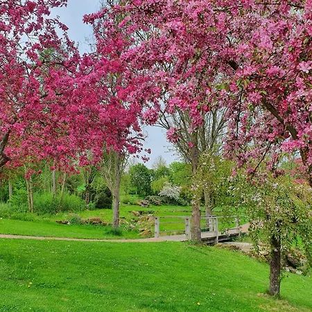 Daire Kleinod Am Kurpark *