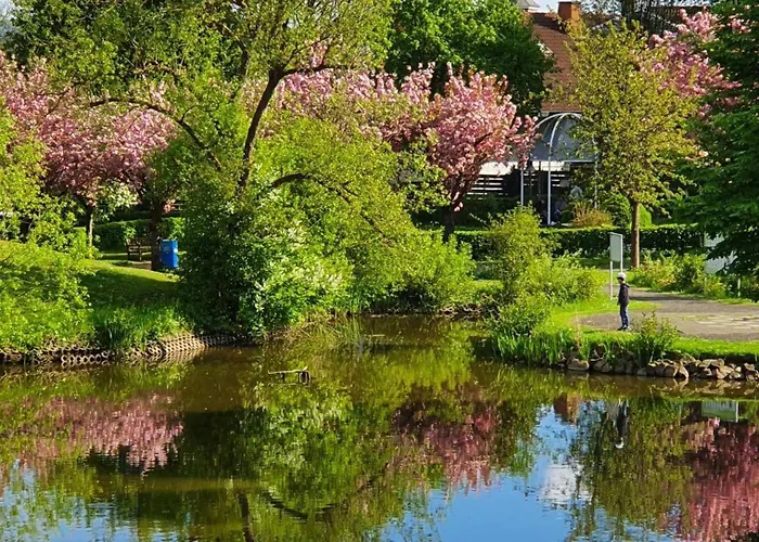 Kleinod Am Kurpark Apartment Bad Zwesten